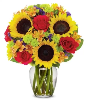Sunflower Enchantment
